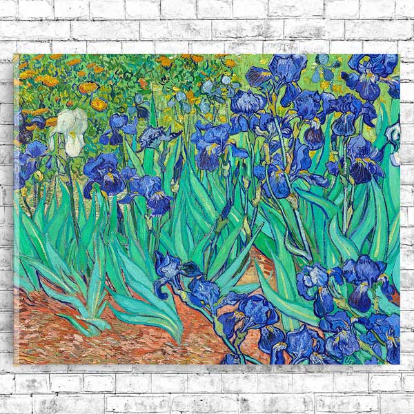 Irises (1889) by Vincent van Gogh - Buy Print Only or Mounted with Choice of Accent Color