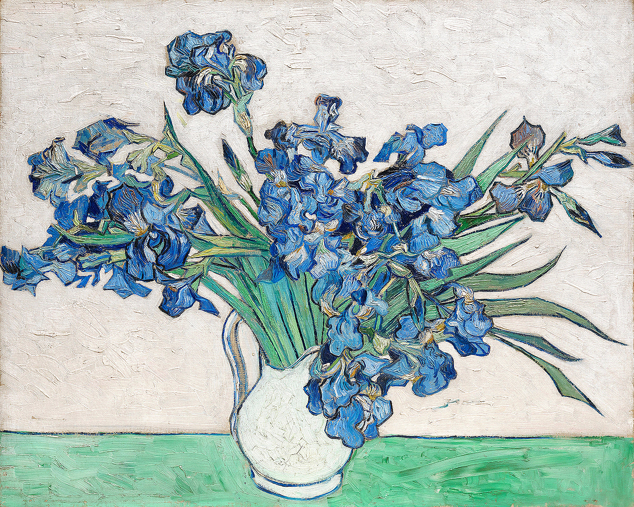 Irises (1890) by Vincent van Gogh - Buy Print Only or Gallery Wrapped