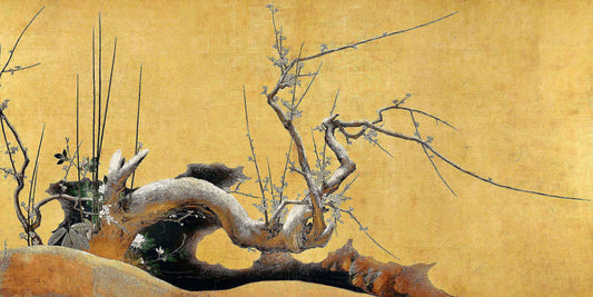 Japanese Plum Tree (17th Century)