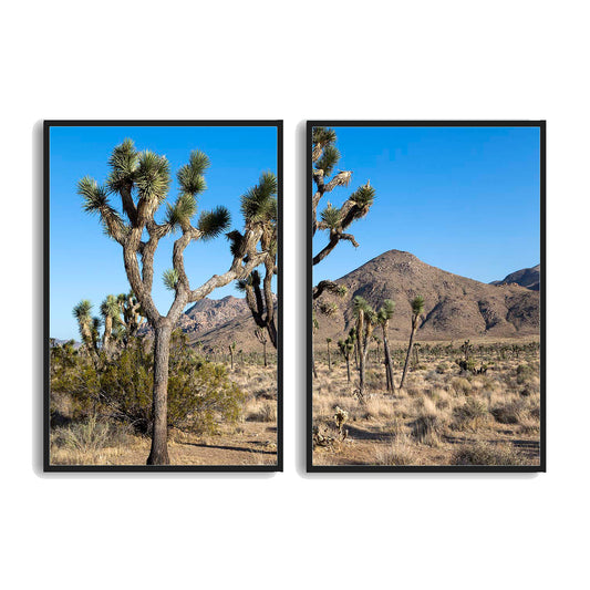 Joshua-Tree-National-Park| Multi-Paneled Prints | Choose Number of Panels| Total Size & Accent Color