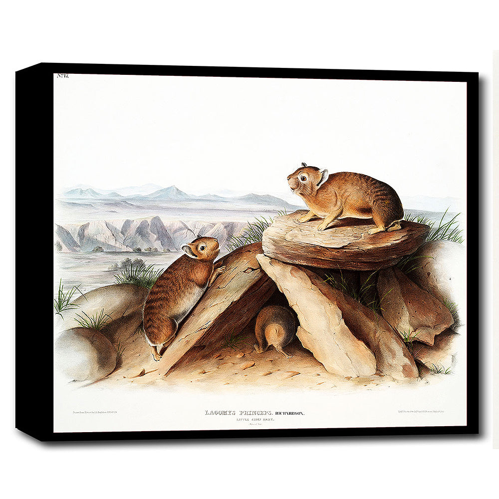 A framed print depicting two rabbits on a rock, with a mountainous landscape in the background, available in different color options.