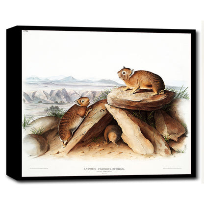 A framed print depicting two rabbits on a rock, with a mountainous landscape in the background, available in different color options.