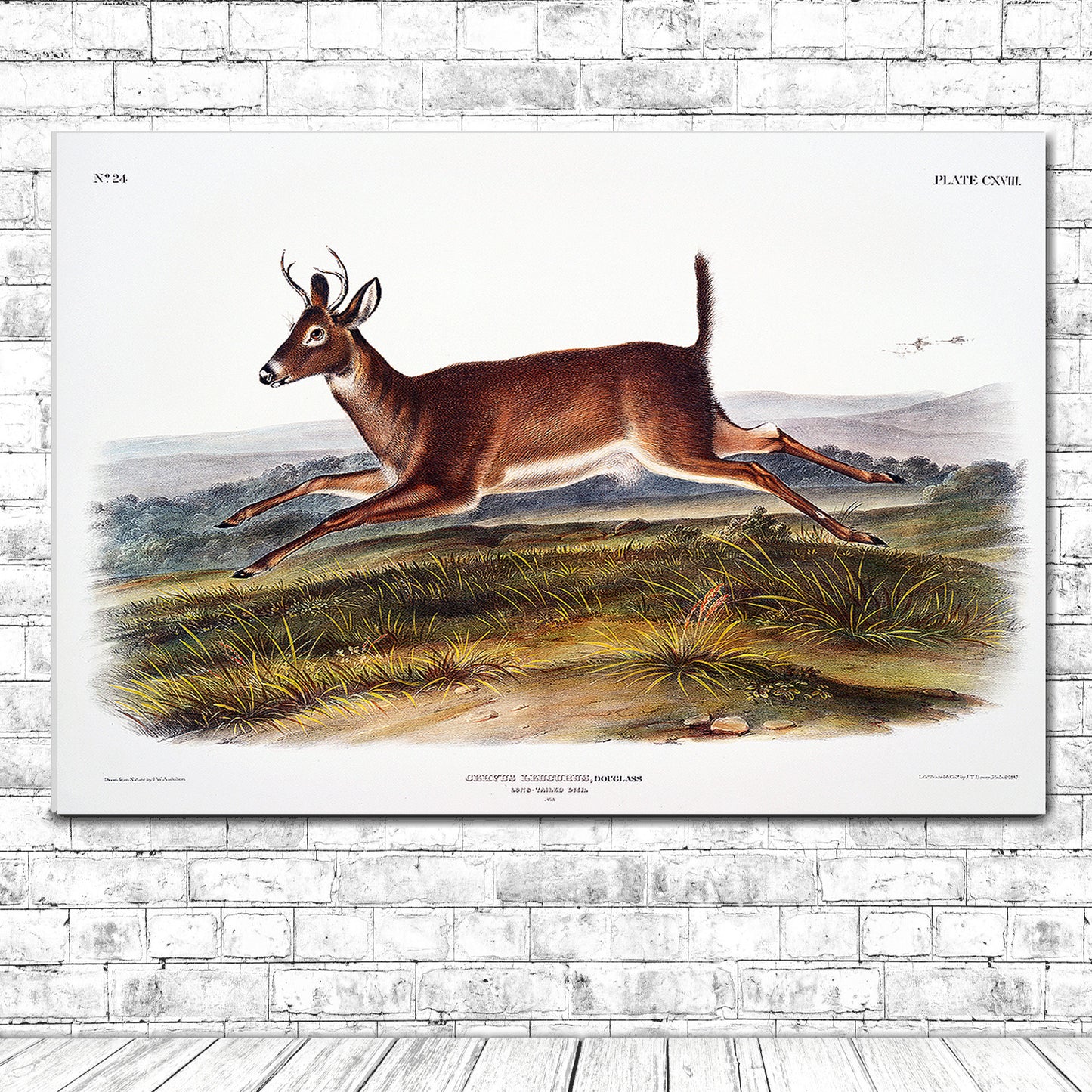 A framed print of a long-tailed deer with a landscape background, in black and brown colors.