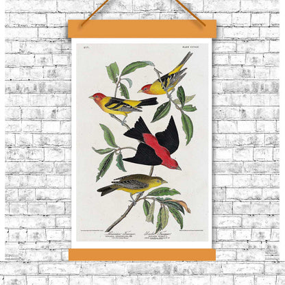 A framed print featuring illustrations of birds, with vibrant colors and detailed patterns on the birds, set against a beige background, housed in a vertical black frame.
