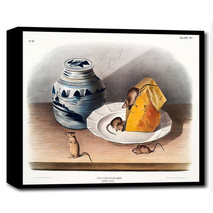 A framed print featuring a historical illustration of a mouse next to a cheese wheel and a pot, with decorative elements in the background.