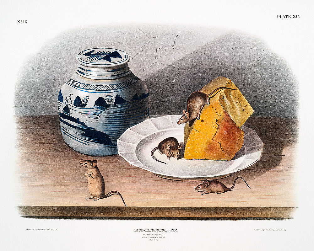 A framed print featuring a historical illustration of a mouse next to a cheese wheel and a pot, with decorative elements in the background.