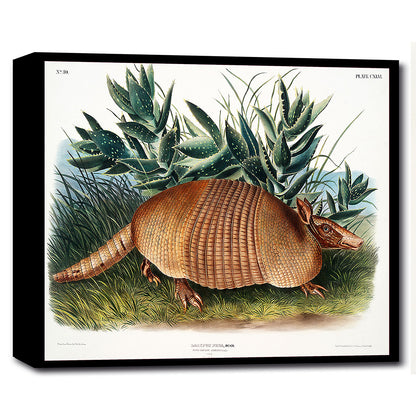 A printed artwork of a nine-banded armadillo surrounded by green foliage, displayed in a black frame.