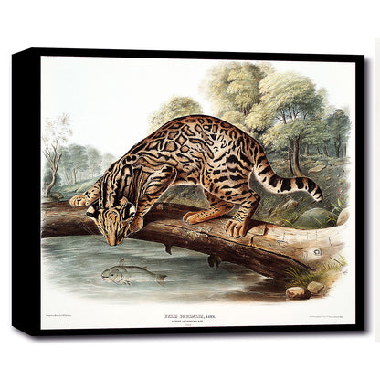 A framed print depicting an ocelot or leopard-cat, with options for mounting in different colors or as a tapestry hung piece.