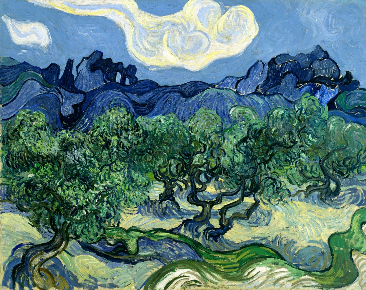 Olive Trees with the Alpilles in the Background (1889) by Vincent van Gogh