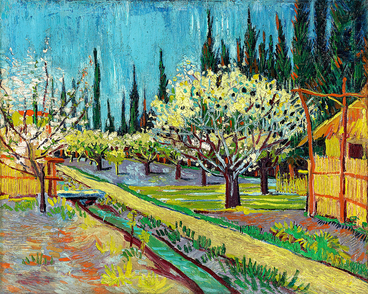Orchard Bordered by Cypresses (1888) by Vincent van Gogh - Buy Print Only or Mounted with Choice of Accent Color