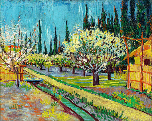Orchard Bordered by Cypresses (1888) by Vincent van Gogh - Buy Print Only or Mounted with Choice of Accent Color