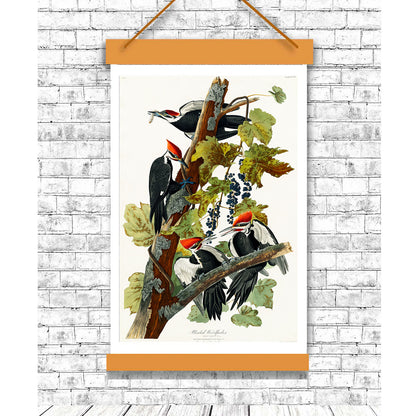 A framed print of Pileated Woodpeckers perched on a branch with leaves and berries, featuring a black, white, and red color scheme.