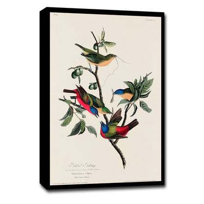 A printed artwork depicting colorful finches perched on a branch, with a decorative border.