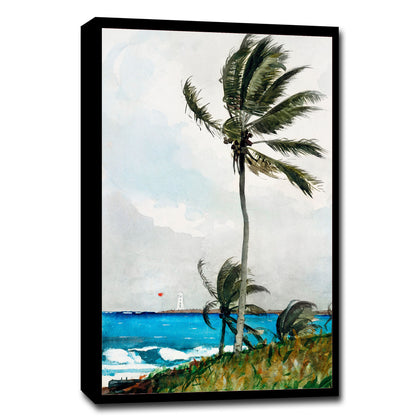 Palm Tree, Nassau (1898) by Winslow Homer