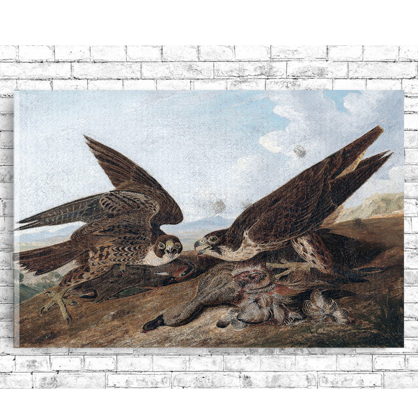 A printed art piece featuring Peregrine Falcons with a black frame, depicting two birds of prey in a landscape setting.