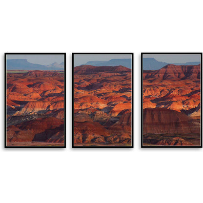Petrified Forest National Park  | Choose Style | Size & Trim Color