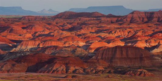 Petrified Forest National Park