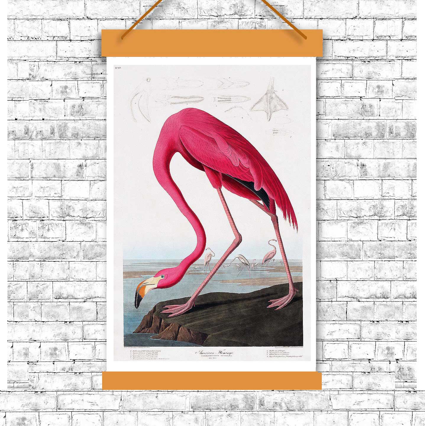 A framed print of a pink flamingo against a landscape background, representing the artwork 'Pink Flamingo' by John J. Audubon.