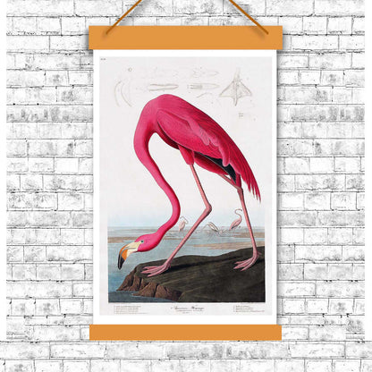 A framed print of a pink flamingo against a landscape background, representing the artwork 'Pink Flamingo' by John J. Audubon.