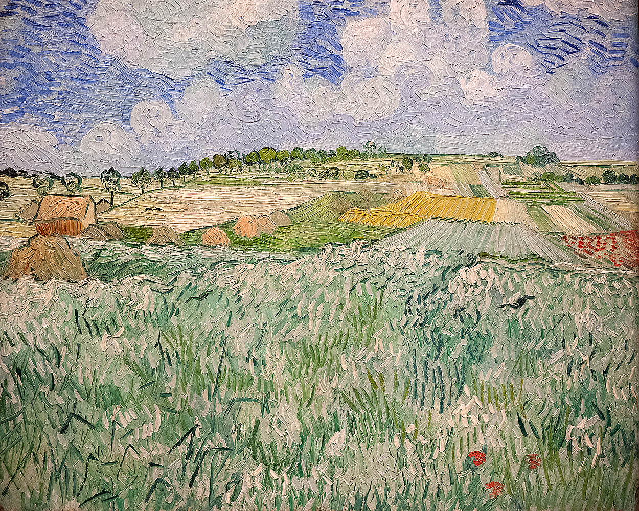 Plain near Auvers by Vincent van Gogh - Buy Print Only or Mounted with Choice of Accent Color