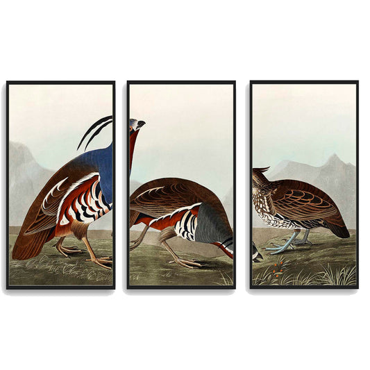 Plumed Partridge and Thick-legged Partridge by John J. Audubon  | Choose Style | Size & Trim Color