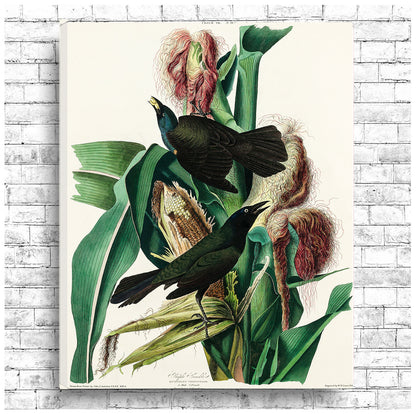 A framed print depicting a bird among floral elements, with a black border and white background.