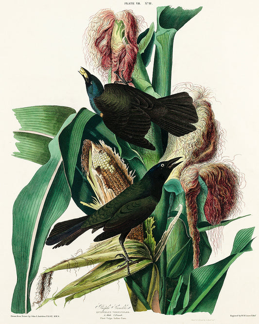 A framed print depicting a bird among floral elements, with a black border and white background.