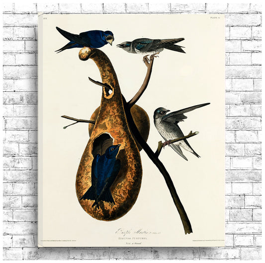 A framed print featuring birds perched on a branch, with a black border and wooden frame.