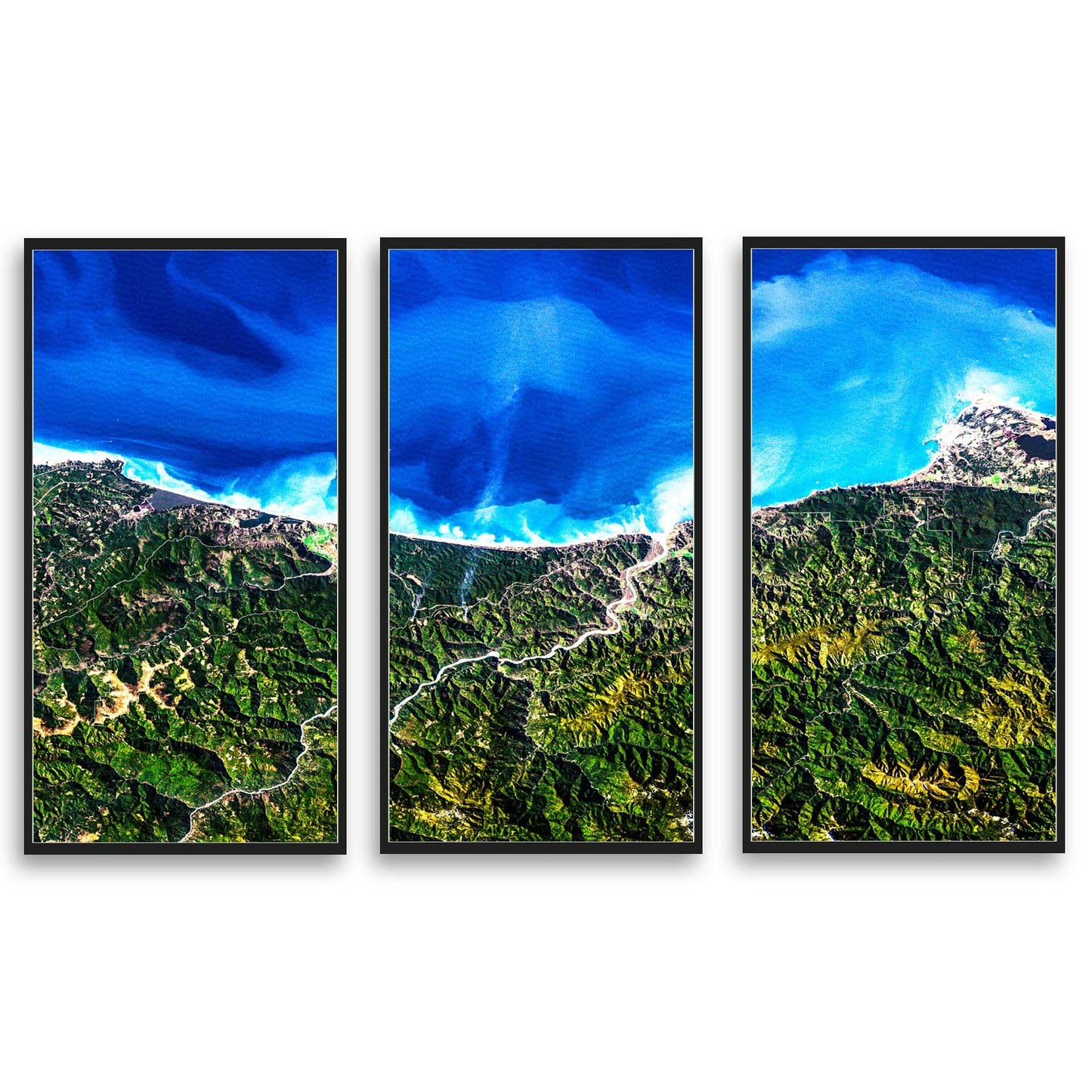 Redwood National Park  | Choose Style | Size & Trim Color