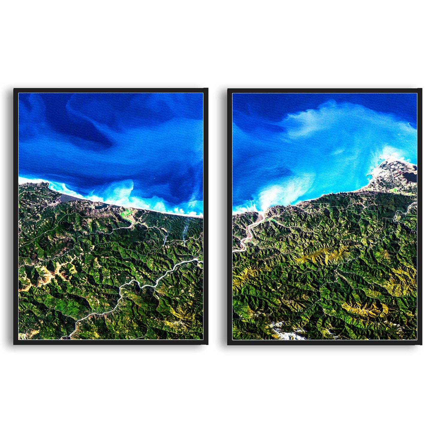 Redwood National Park  | Choose Style | Size & Trim Color