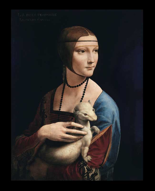 Lady with a Ermine by Leonardo Da Vinci