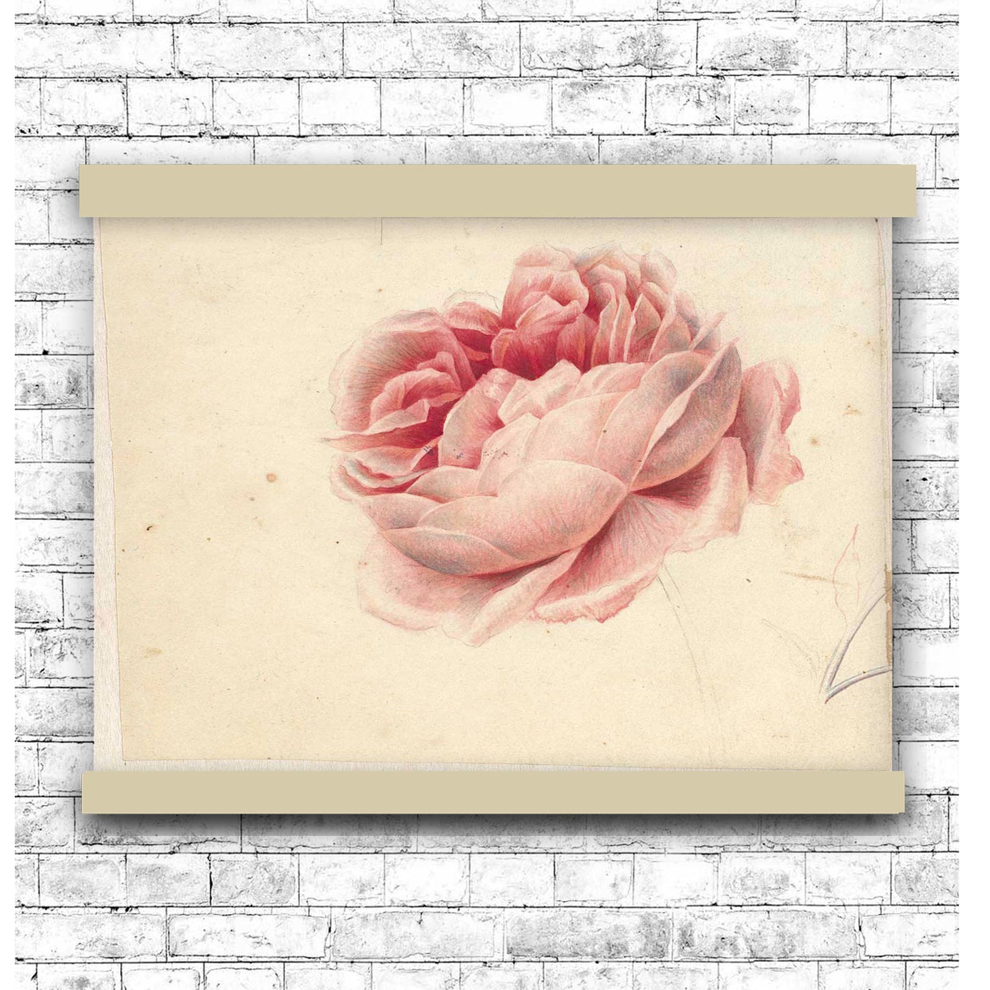 Bloom by George Jacobus Johannes van Os 1792 | Hanging Canvas Art | Choice of Board Colors