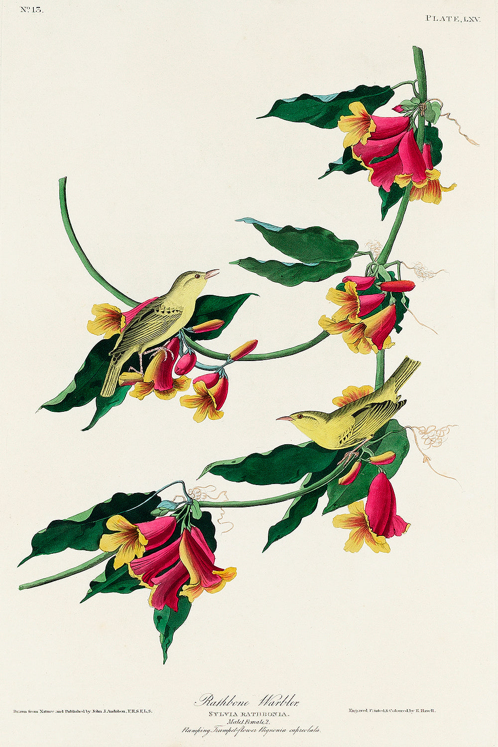 A framed print depicting birds and flowers in a portrait orientation.