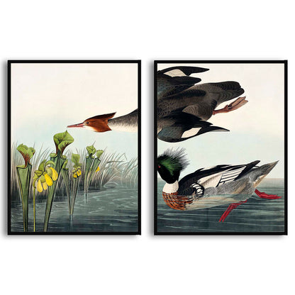 Plumed Partridge and Thick-legged Partridge by John J. Audubon  | Choose Style | Size & Trim Color