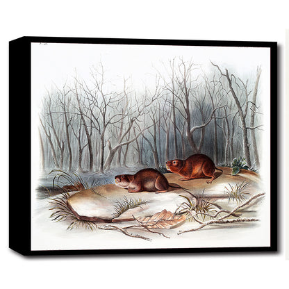 A printed art piece featuring two meadow mice in a snowy landscape with leafless trees in the background, framed in a black frame.