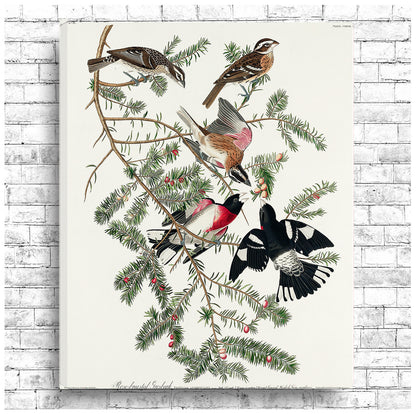 A framed print of a Rose-breasted Grosbeak bird among tree branches, with a black border and wooden frame.