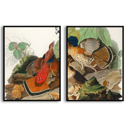 Ruffed-Grouse by John J. Audubon  | Choose Style | Size & Trim Color