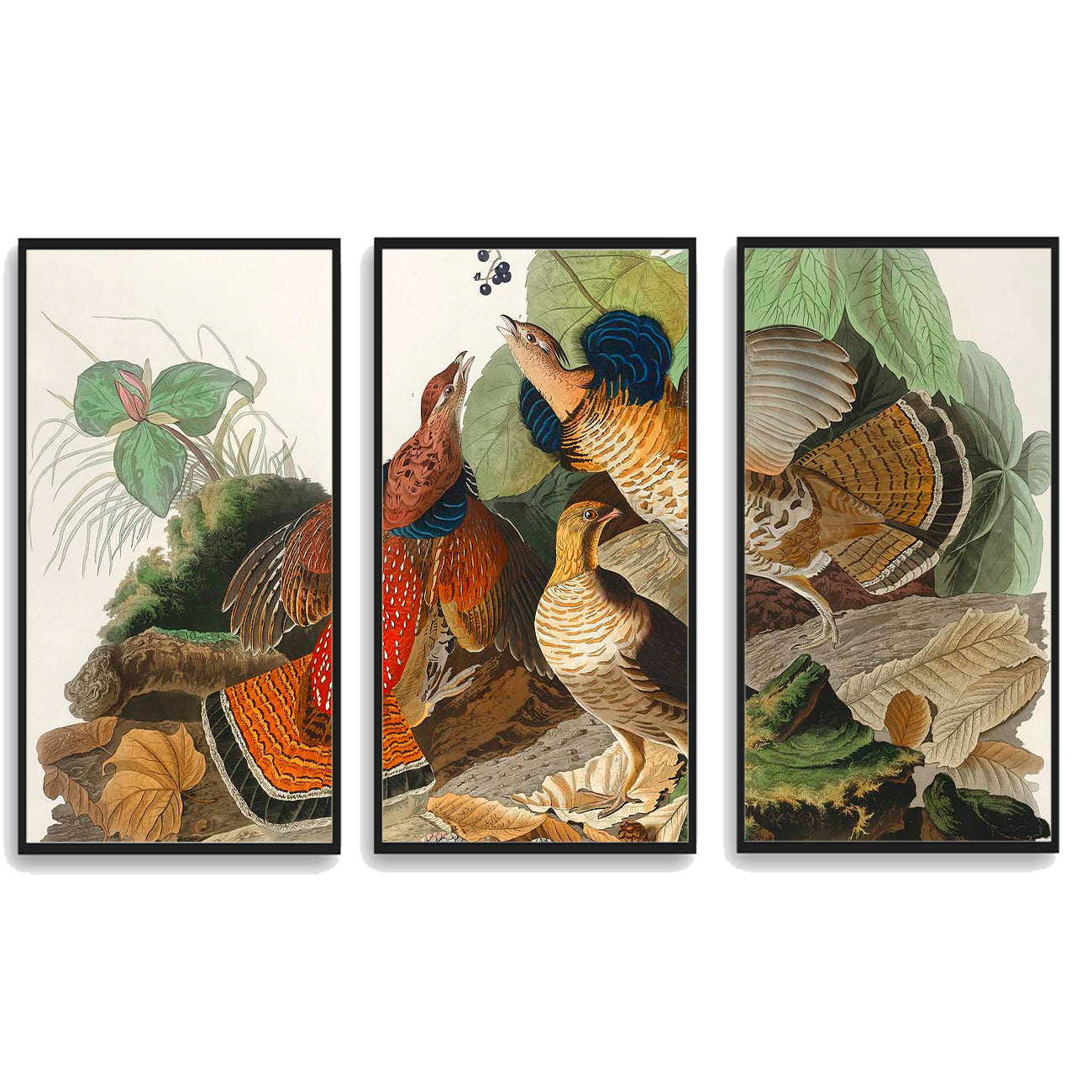 Ruffed-Grouse by John J. Audubon  | Choose Style | Size & Trim Color