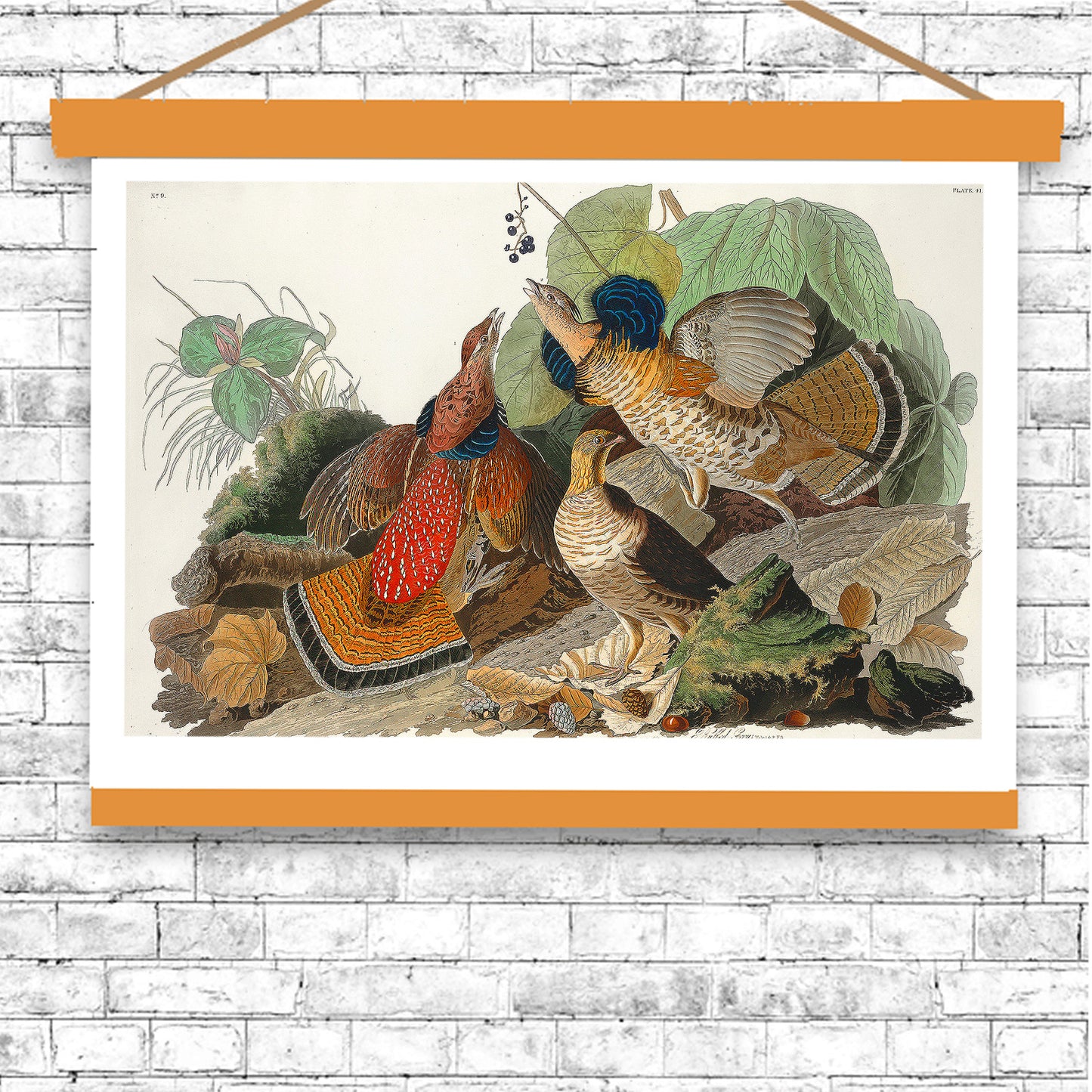 Ruffed Grouse by John J. Audubon