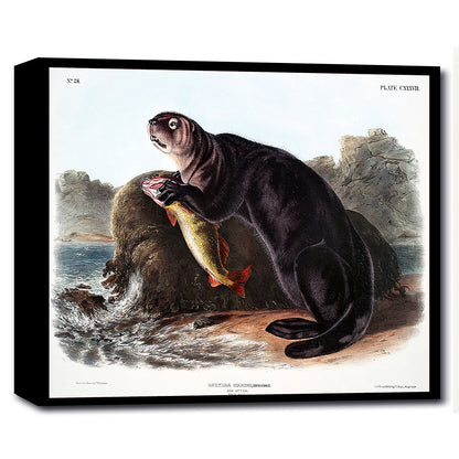 A framed print of a sea otter holding a fish, with a scenic background.