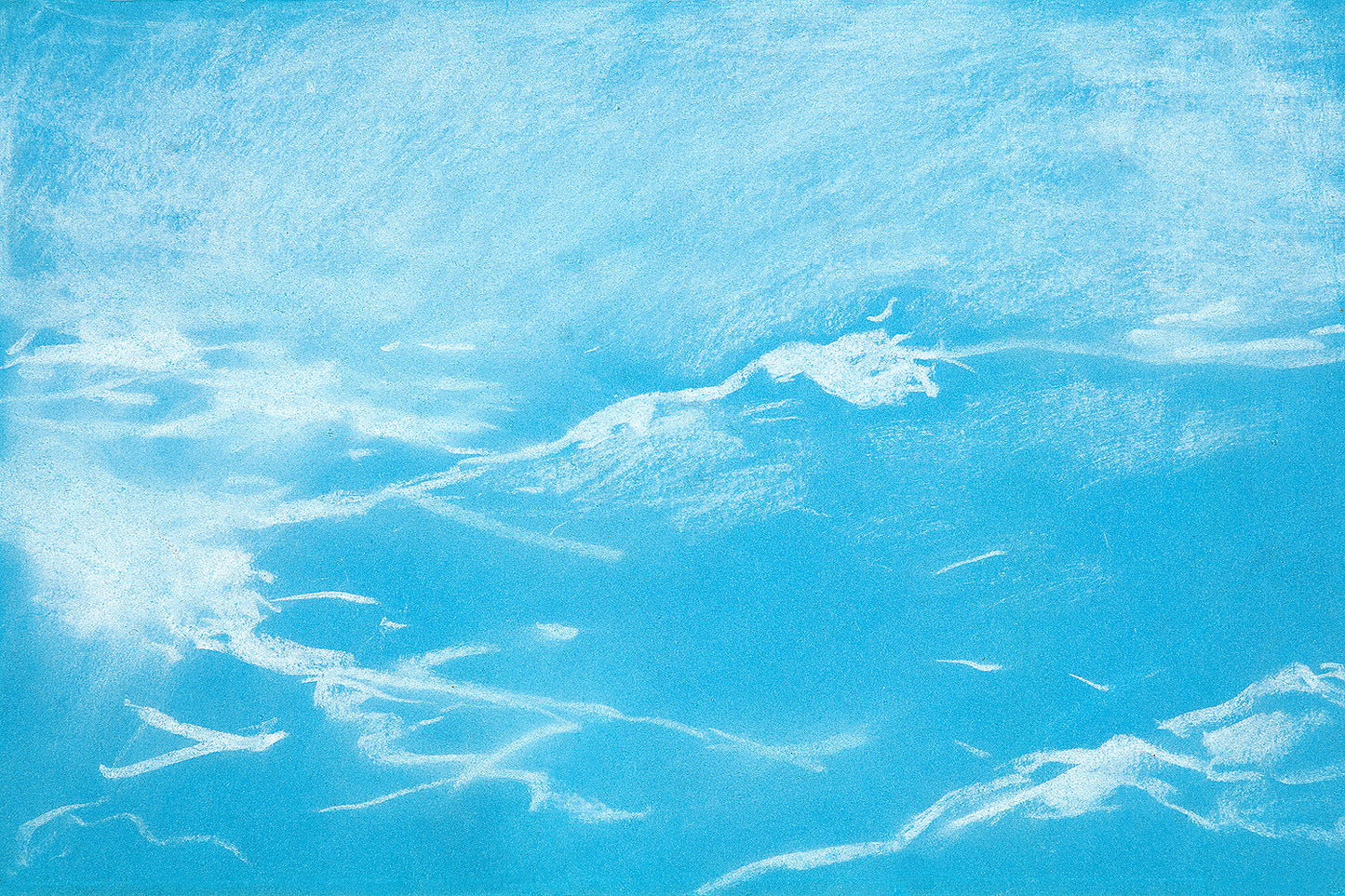 A framed print of a seagull over waves, with a black border and a clear frame.