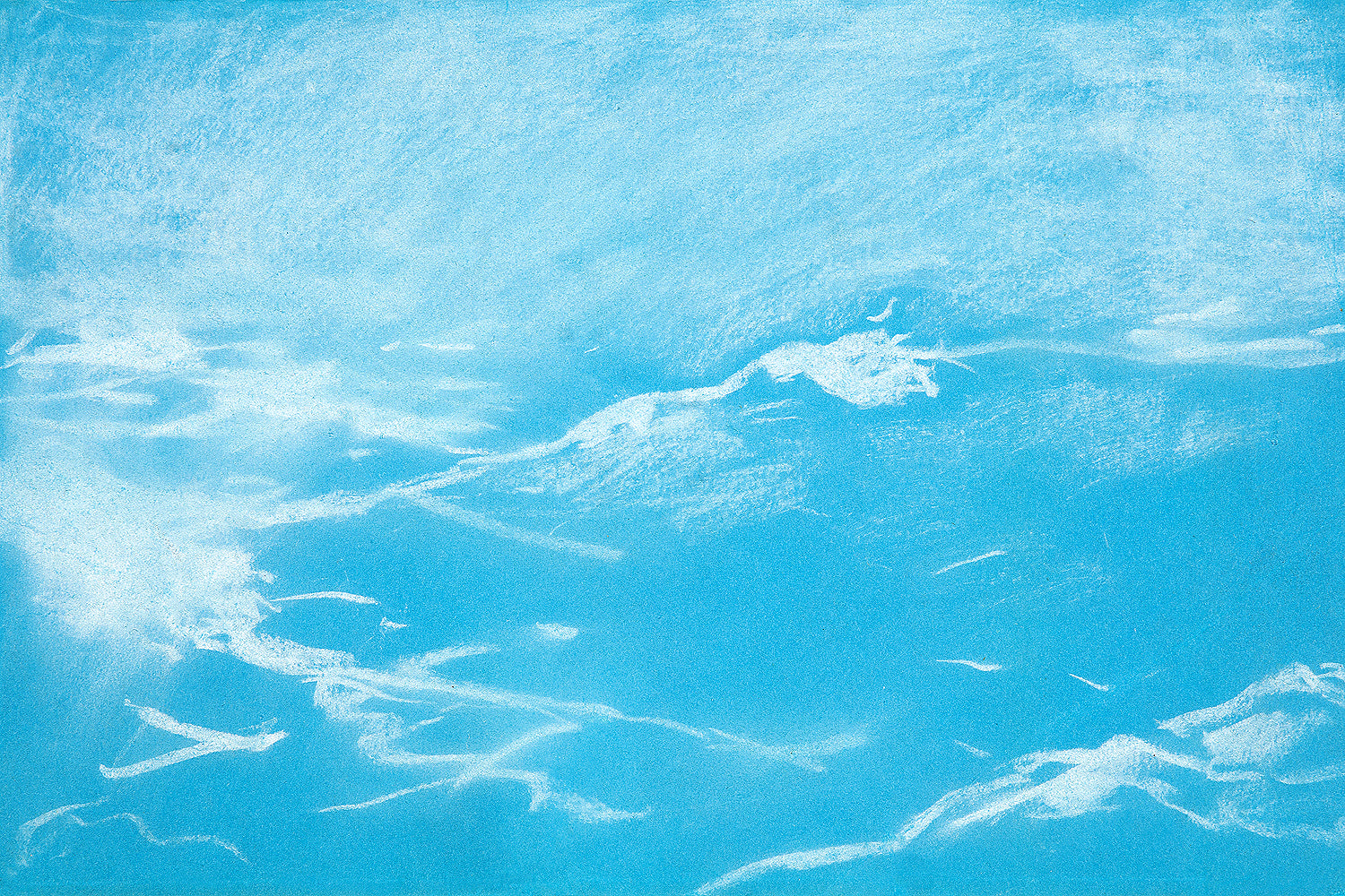 A framed print of a seagull over waves, with a black border and a clear frame.
