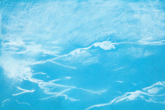 A framed print of a seagull over waves, with a black border and a clear frame.