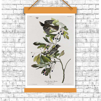 A framed print of a small green crested flycatcher bird, with a detailed background of foliage.