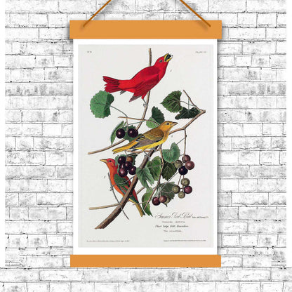 A framed print featuring two colored birds on a branch with leaves and berries.