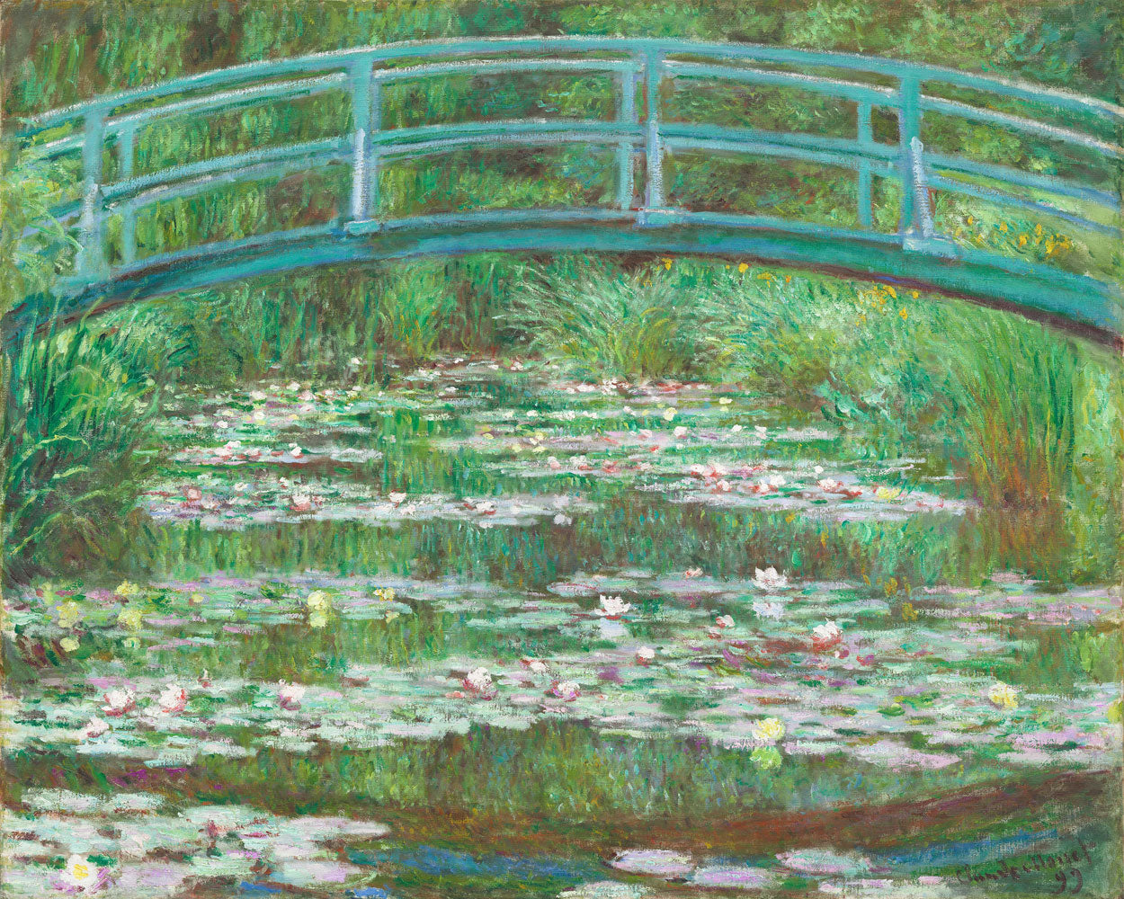 Water Lily Pond (1900) by Claude Monet - Buy Print Only or Mounted with Choice of Accent Color