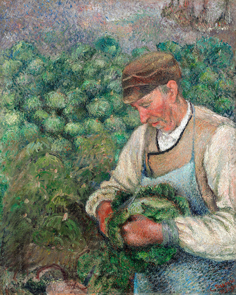 The Gardener - Old Peasant with Cabbage (1883-1895) by Camile Pissarro - Buy Print Only or Mounted with Choice of Accent Color