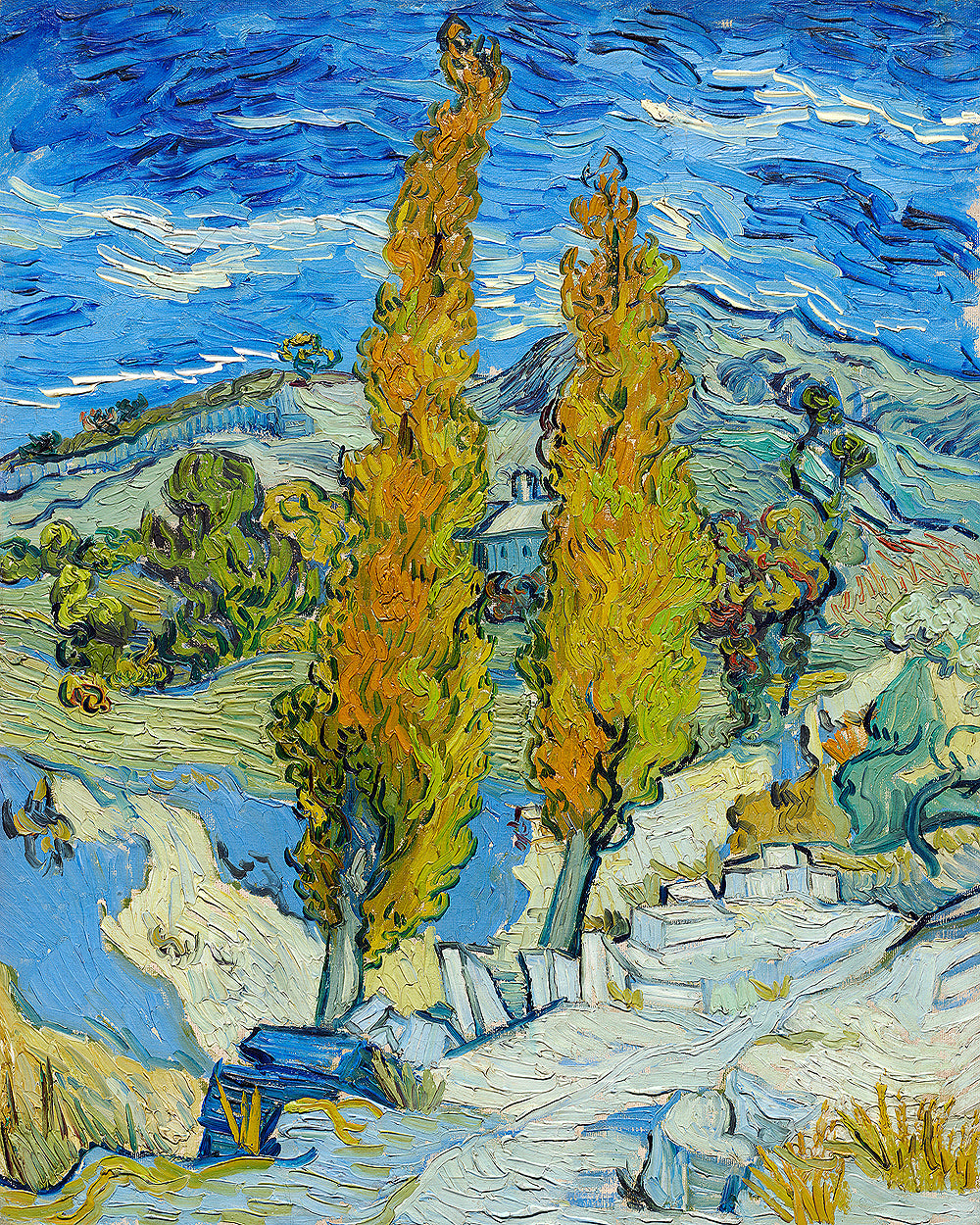 The Poplars at Saint-Rémy (1889) by Vincent Van Gogh - Buy Print Only or Mounted with Choice of Accent Color
