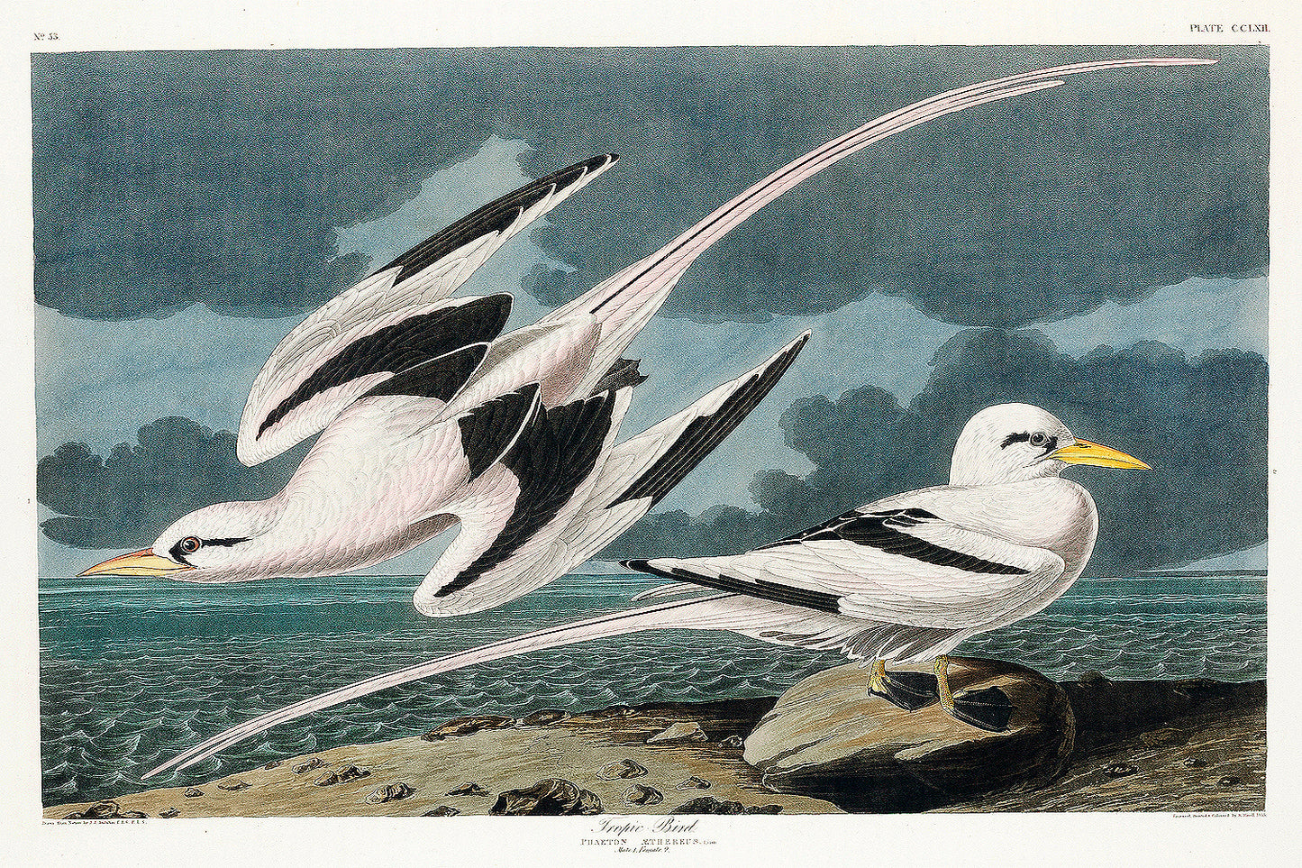 A framed print of two birds, one in flight and the other perched, against a landscape background.