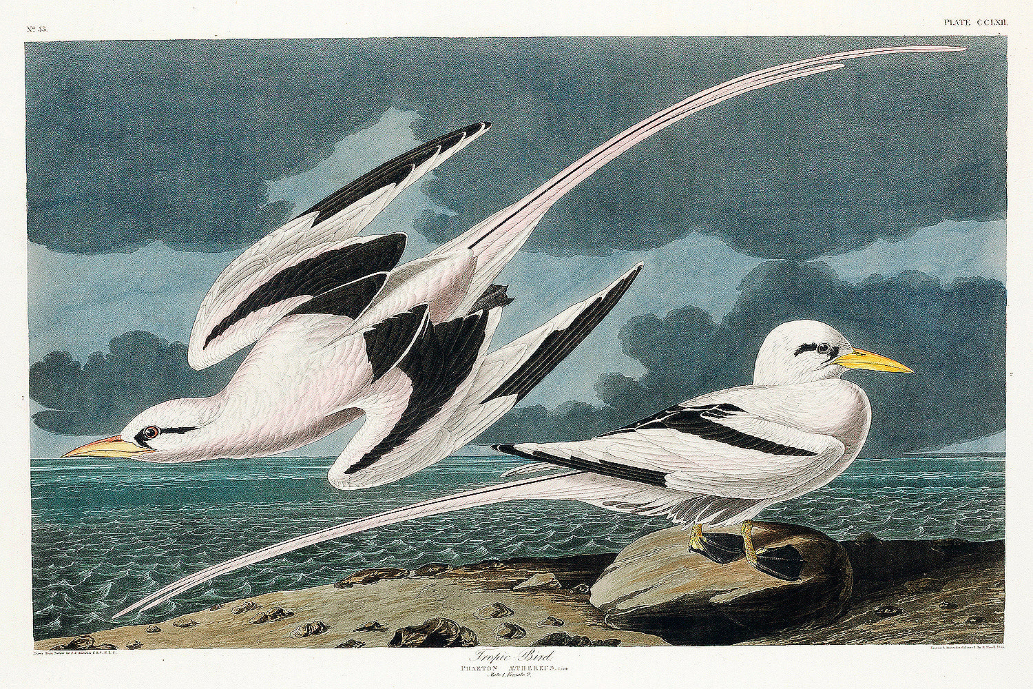 A framed print of two birds, one in flight and the other perched, against a landscape background.